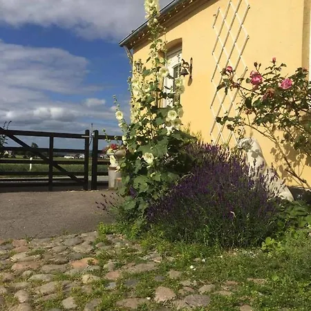 Mols Bjerge Hohotel/Hytteudlejning Homestay szállás Knebel